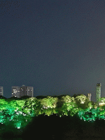 鹰潭夜色