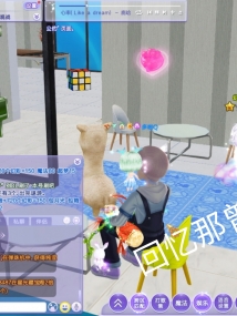 梦的乐园
